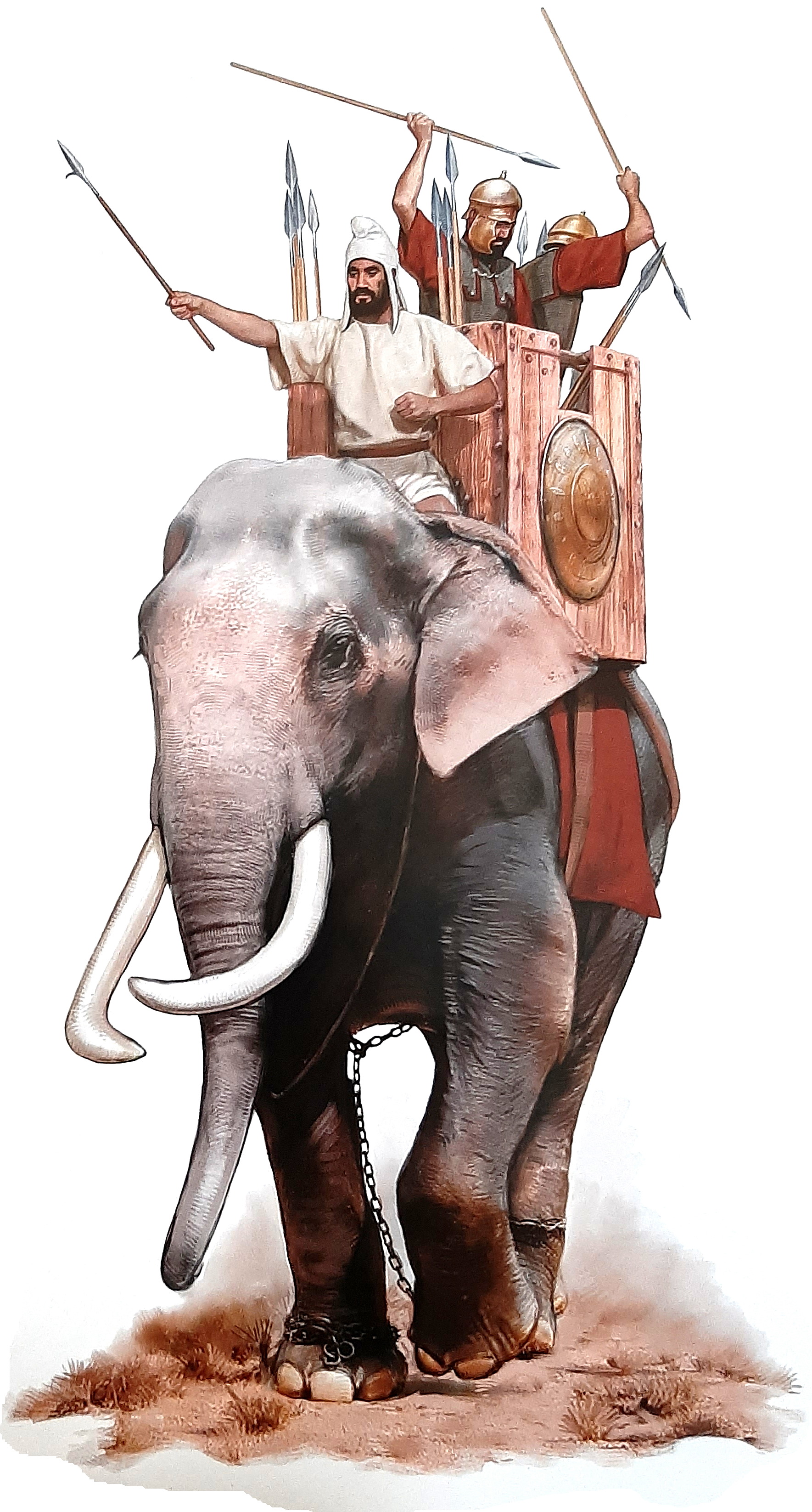 carth elephant