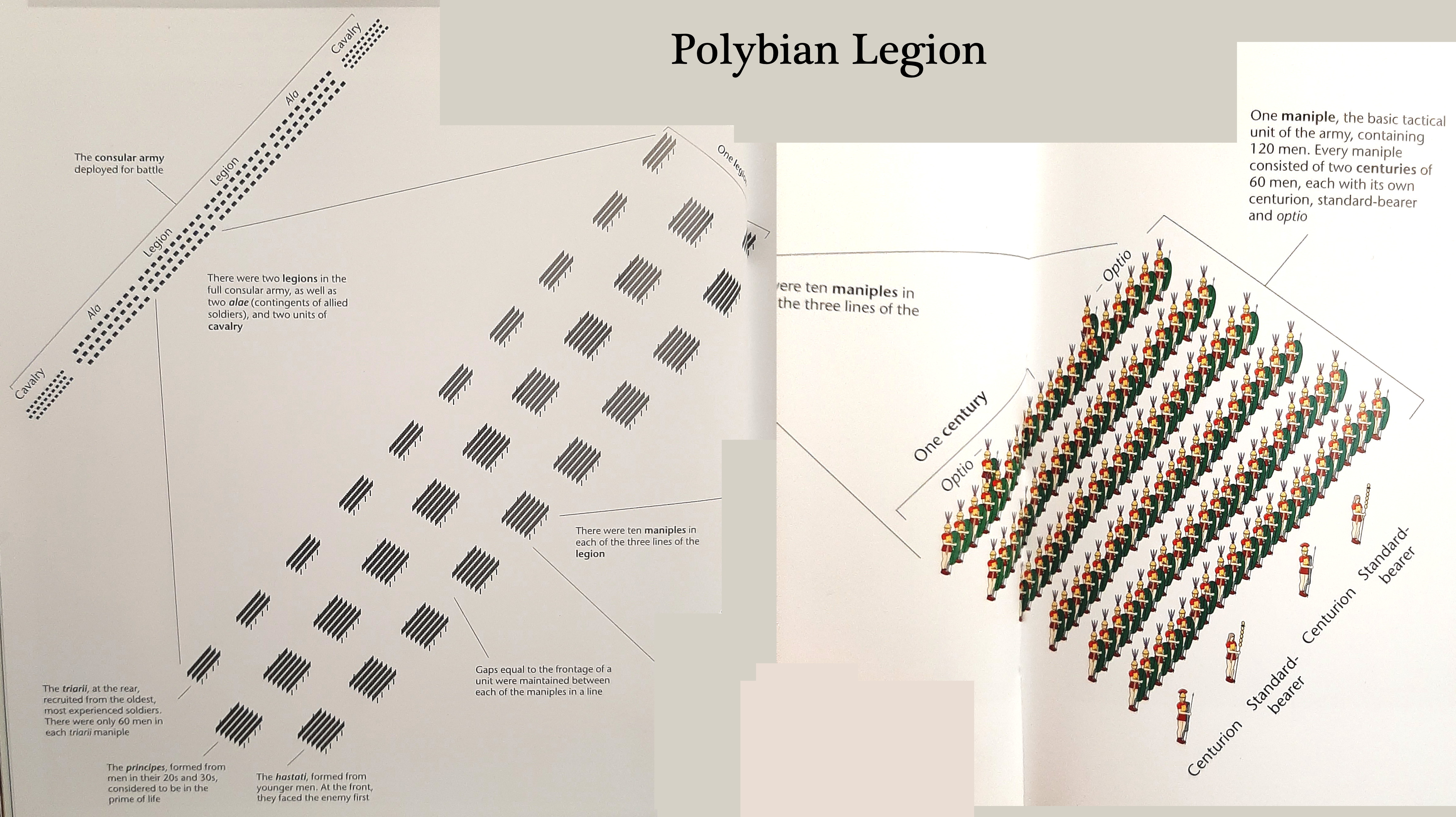 polybian legion